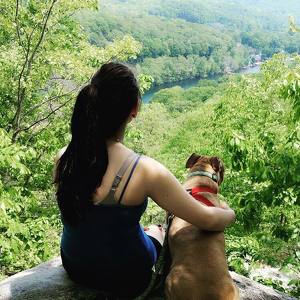 Team Page: Ally's Army